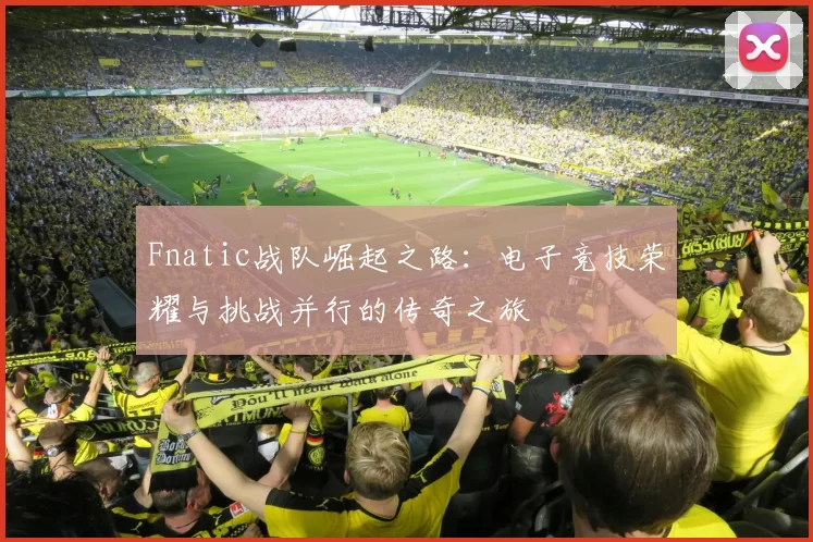 Fnatic战队崛起之路：电子竞技荣耀与挑战并行的传奇之旅