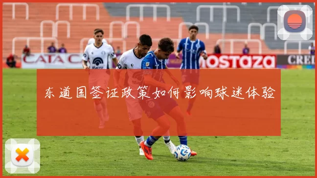 东道国签证政策如何影响球迷体验