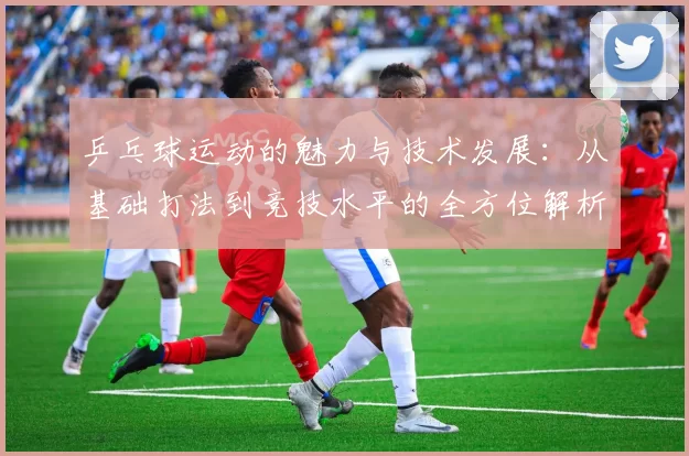 乒乓球运动的魅力与技术发展：从基础打法到竞技水平的全方位解析