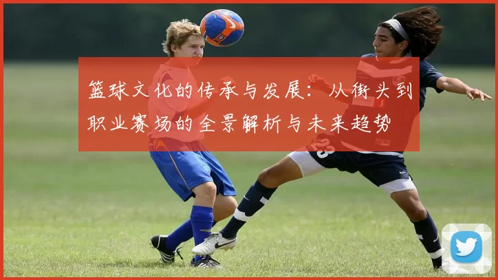 篮球文化的传承与发展：从街头到职业赛场的全景解析与未来趋势