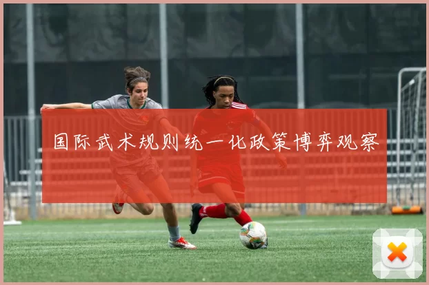 国际武术规则统一化政策博弈观察